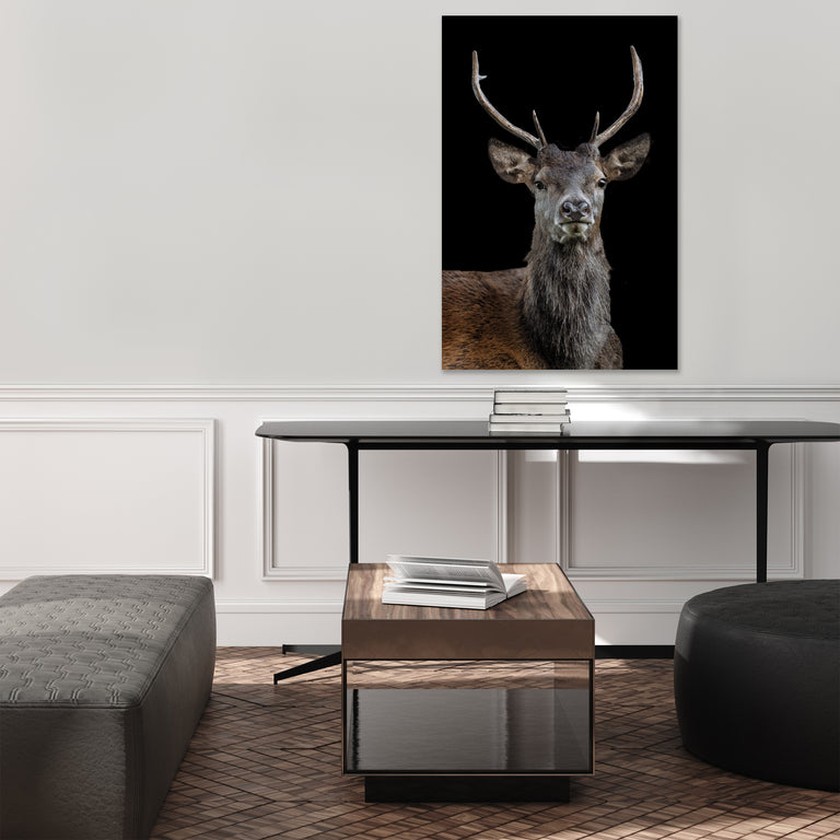 The Scotsman by Adam Mowery (Canvas Wall Art)