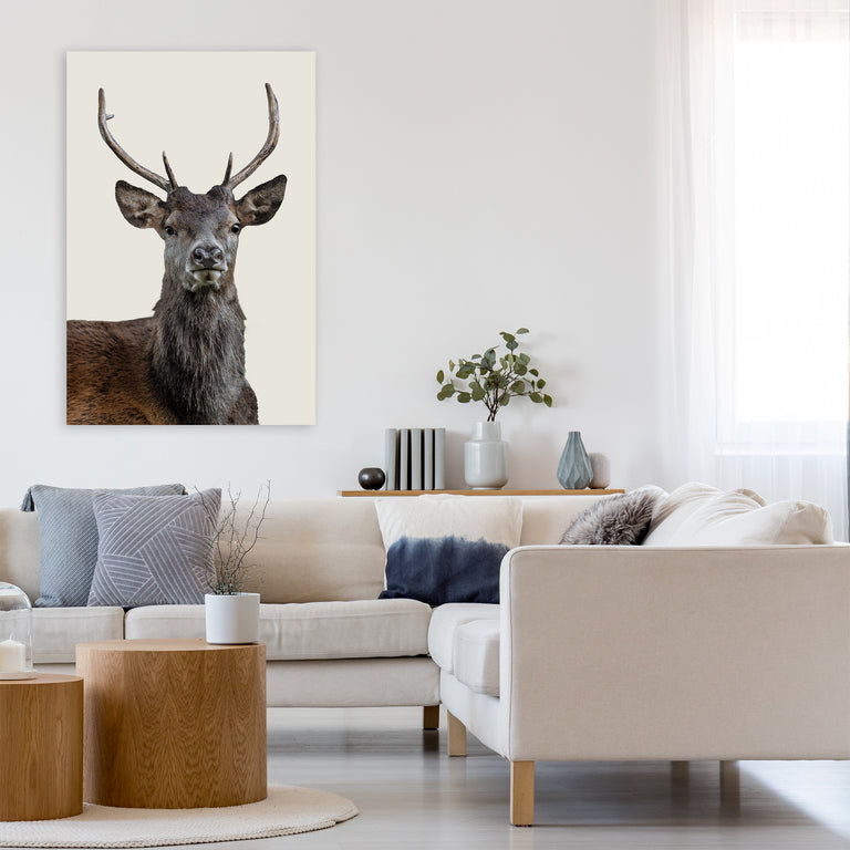 The Scotsman II by Adam Mowery (Canvas Wall Art)