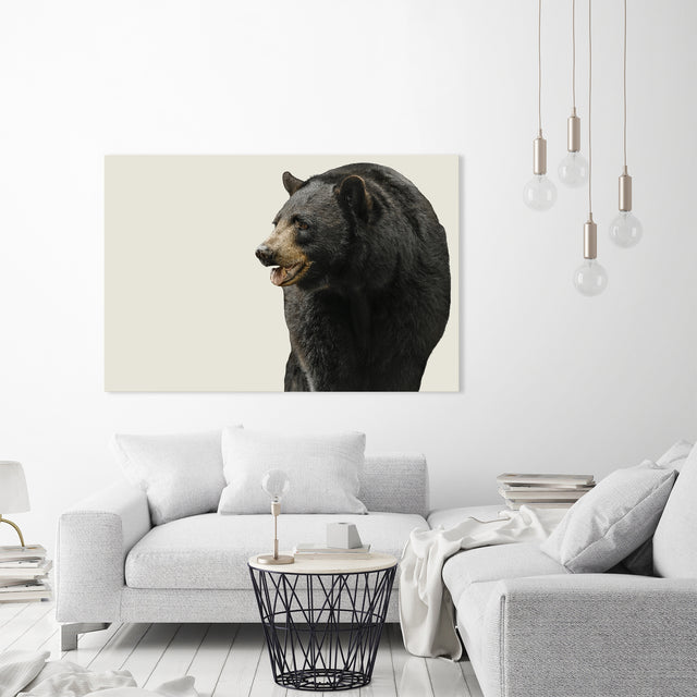 Black Bear II by Adam Mowery | stretched canvas wall art
