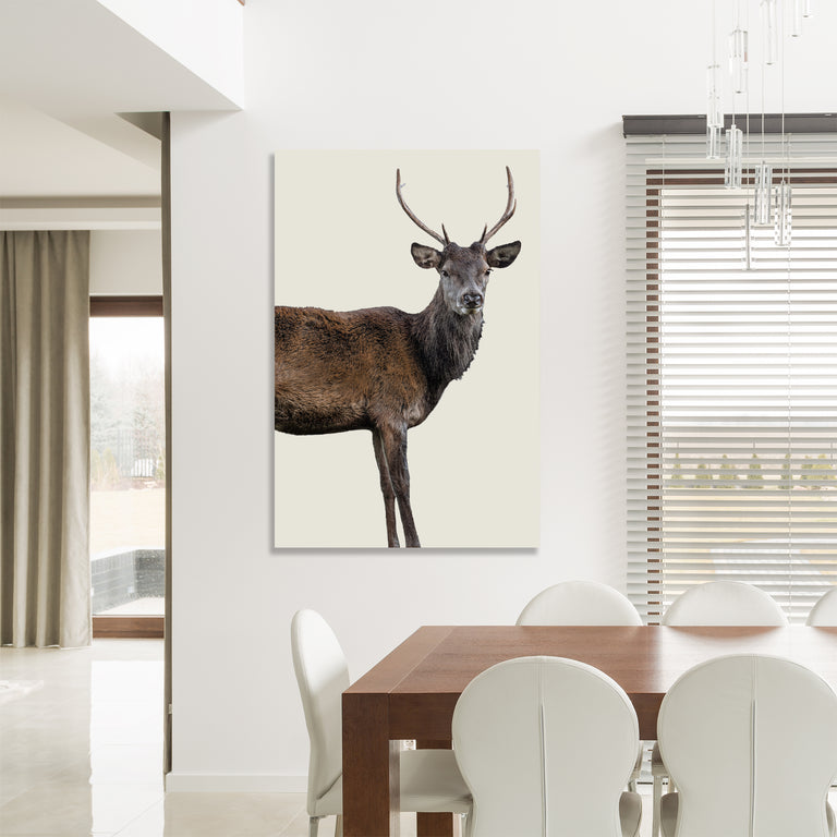 Scotish Red Deer III by Adam Mowery (Canvas Wall Art)