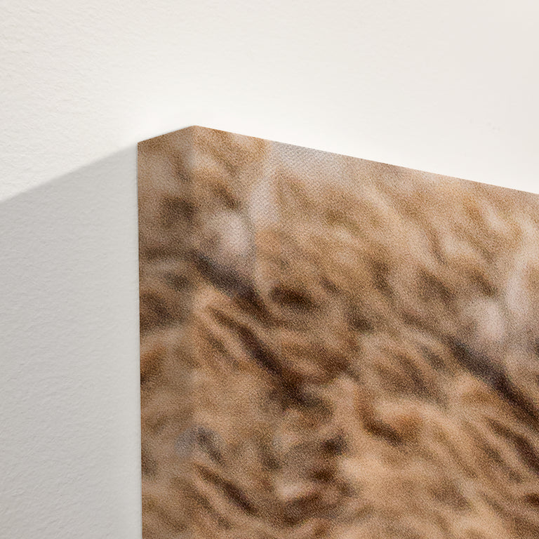 custom canvas options