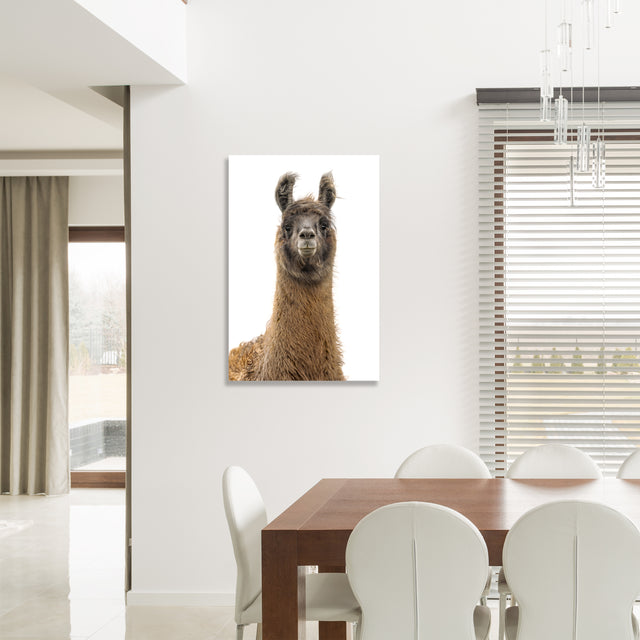 Llama Pack II by Adam Mowery | stretched canvas wall art