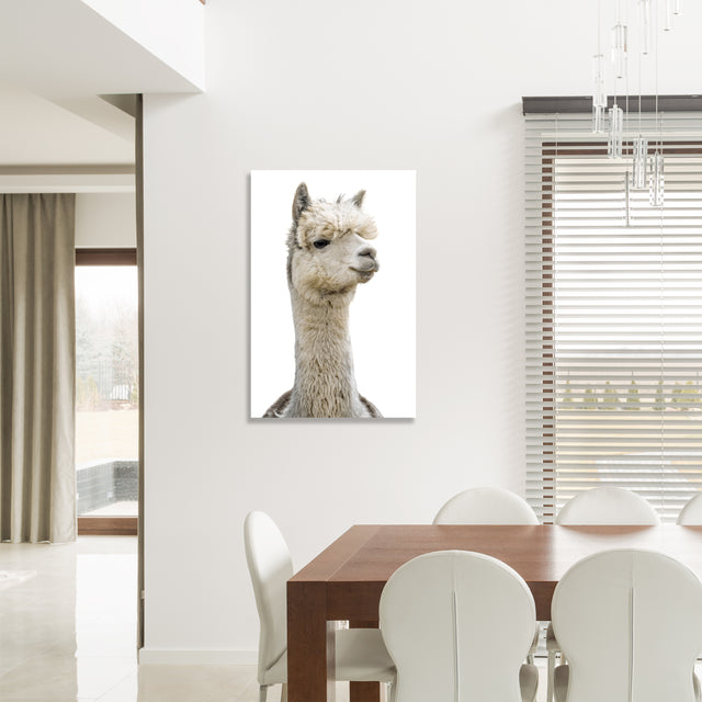 Llama Pack III by Adam Mowery | stretched canvas wall art