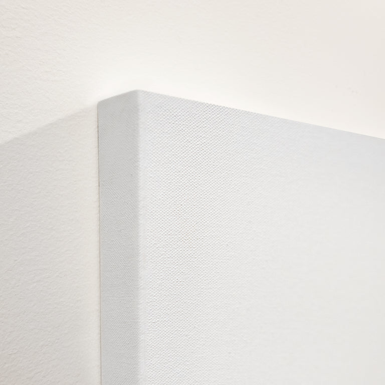 Llama Pack III by Adam Mowery | STRETCHED CANVASE WALL ART