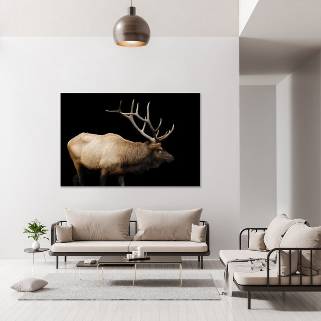 The Rut by Adam Mowery | stretched canvas wall art