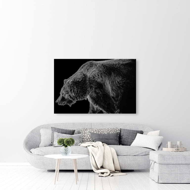 Grizzled 1 B&W by Adam Mowery | stretched canvas wall art