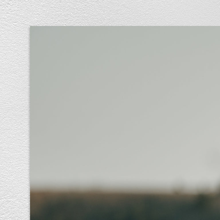 The Horse by Adam Mowery | stretched canvas wall art