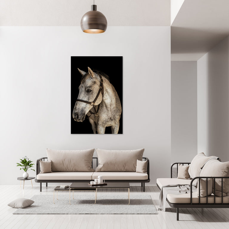 Portrait of Horse I by Adam Mowery | stretched canvas wall art