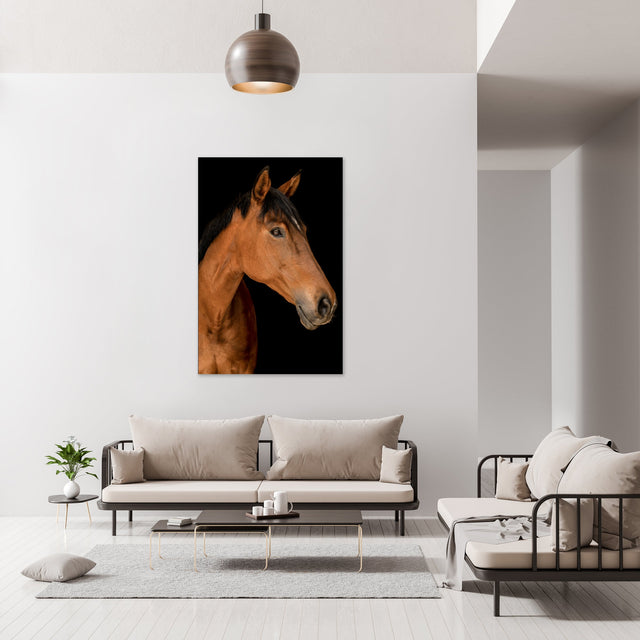 Portrait of Horse II by Adam Mowery | stretched canvas wall art