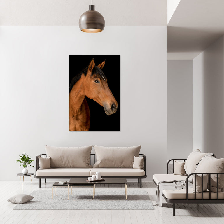 Portrait of Horse II by Adam Mowery | stretched canvas wall art