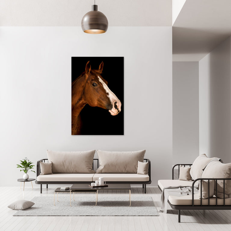 Portrait of Horse III by Adam Mowery | stretched canvas wall art