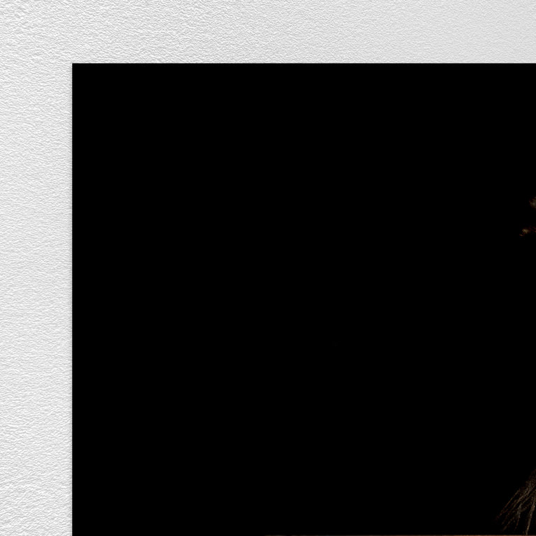 Portrait of Horse VI by Adam Mowery | stretched canvas wall art