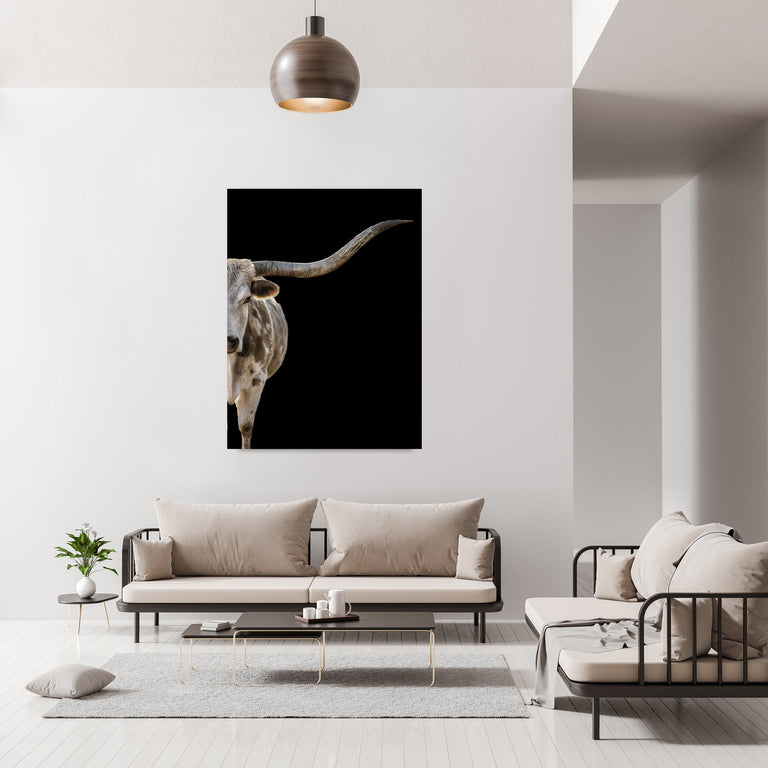 Dottie II by Adam Mowery | stretched canvas wall art
