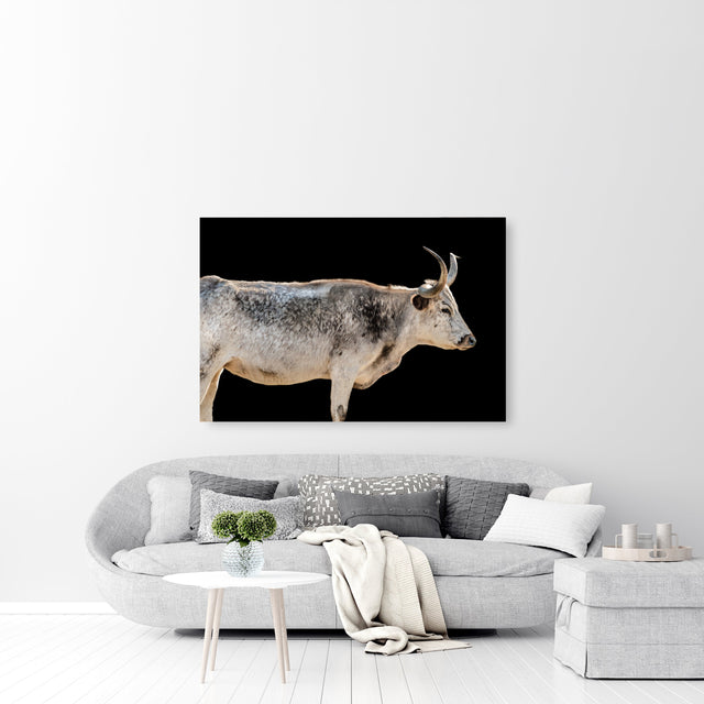 Henrietta I by Adam Mowery | stretched canvas wall art