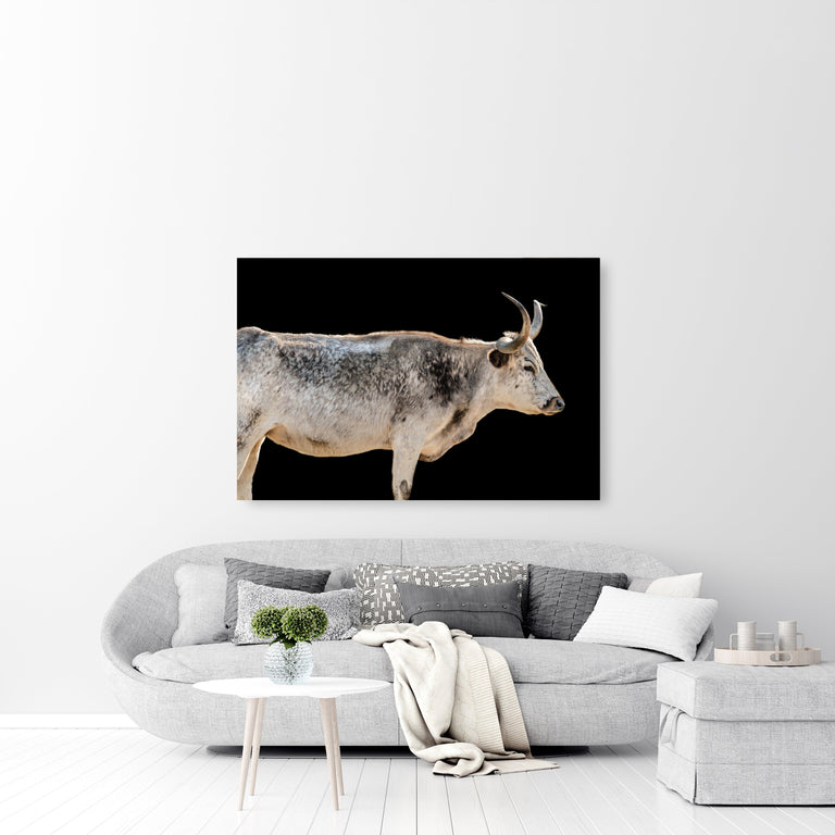 Henrietta I by Adam Mowery | stretched canvas wall art