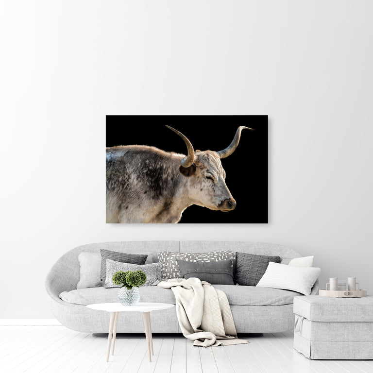 Henrietta II by Adam Mowery | stretched canvas wall art