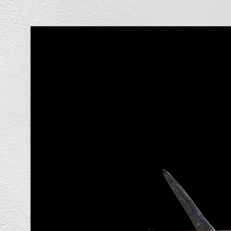 Oreo by Adam Mowery | stretched canvas wall art