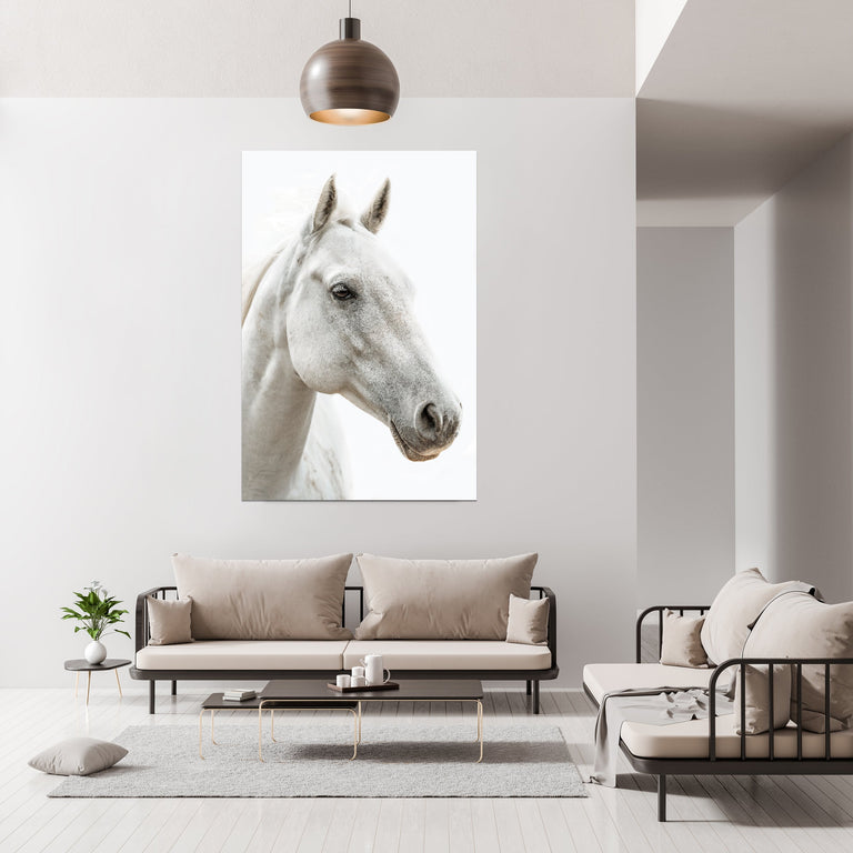 White Steed by Adam Mowery | stretched canvas wall art