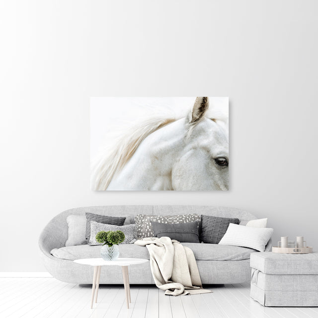 Just Begun by Adam Mowery | stretched canvas wall art