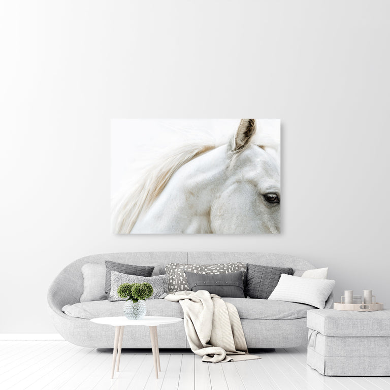 Just Begun by Adam Mowery | stretched canvas wall art