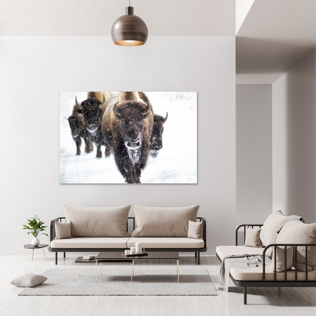 Snow Dust by Curt & Stacy Howell | stretched canvas wall art