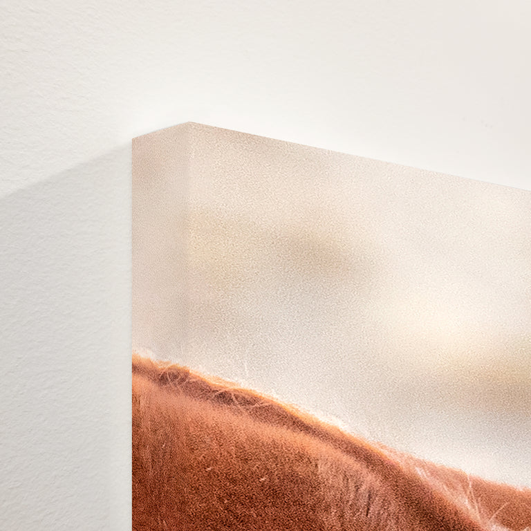 Mane Story by Curt & Stacy Howell | stretched canvas wall art