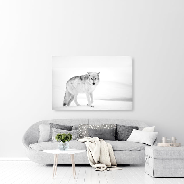 Vanishing Act by Curt & Stacy Howell | stretched canvas wall art