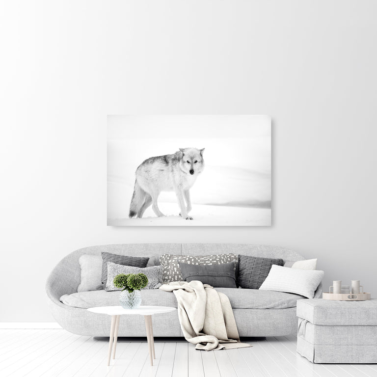 Vanishing Act by Curt & Stacy Howell | stretched canvas wall art