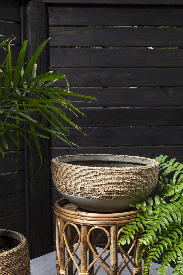 REED BOWL | BOWL