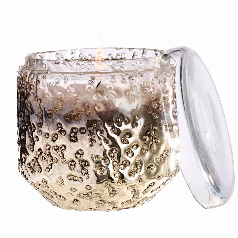 AEREMOS CANDLE JAR-CHRSTMS SPC | HOLIDAY