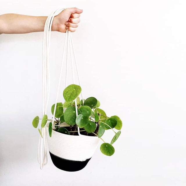 BLACK BLOCK COTTON HANGING PLANTER (SOUTH AFRICA)