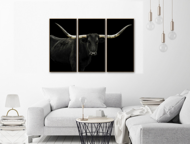 Longhorn 4 Triptych by Adam Mowery | stretched canvas wall art