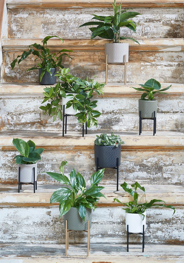 ERA POT ROUND RELIEF | FLORA