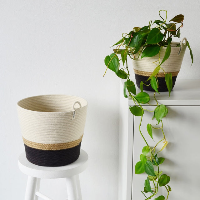 JUTE & BLACK COTTON PLANTERS from SOUTH AFRICA