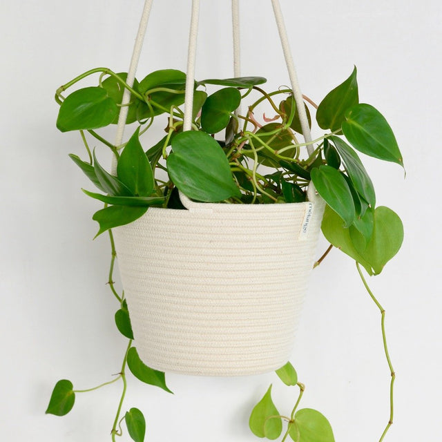 IVORY COTTON HANGING PLANTER (SOUTH AFRICA)