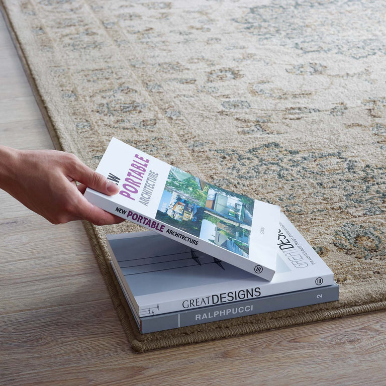 ATARA DISTRESSED VINTAGE PERSIAN MEDALLION | AREA RUG