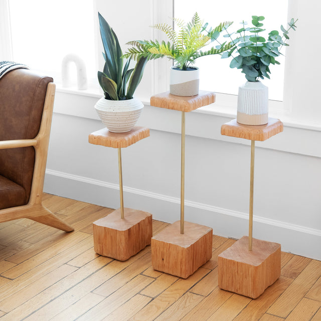 STEM PLANT HOLDER | BY FORMR