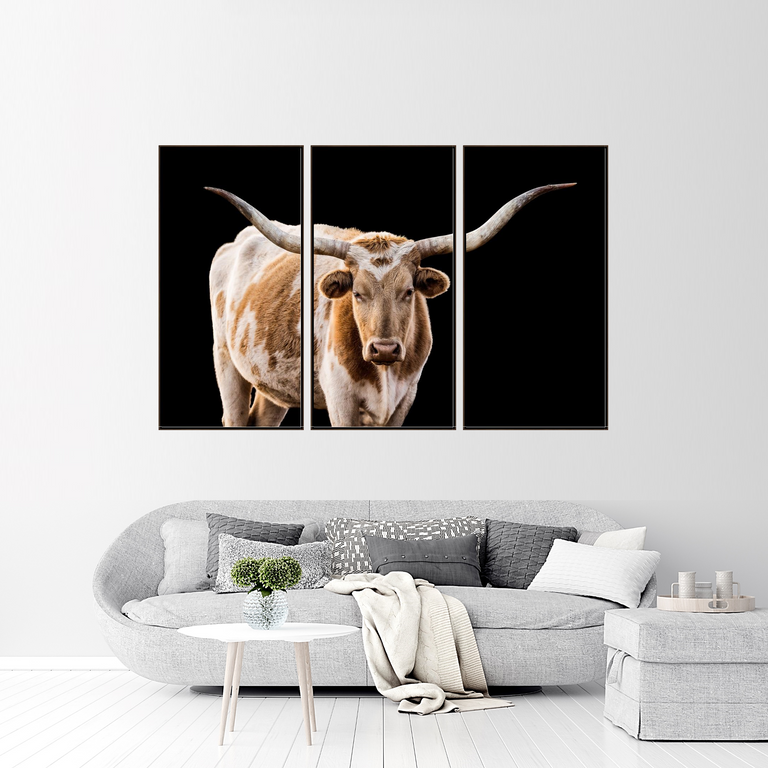 The Texan Tryptych by Adam Mowery | stretched canvas wall art