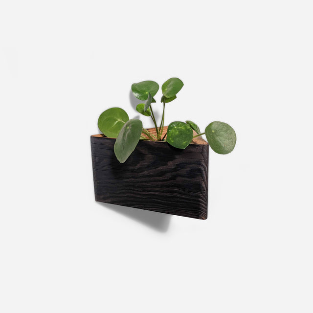 TRIANGLE SELF-WATERING, WALL-MOUNTED PLANTER | BY FORMR