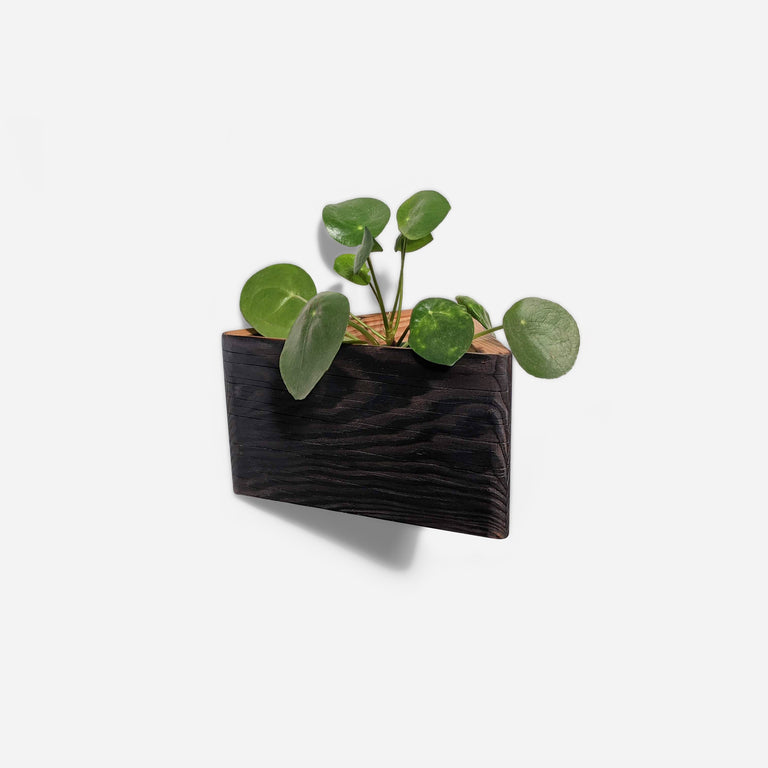 TRIANGLE SELF-WATERING, WALL-MOUNTED PLANTER | BY FORMR