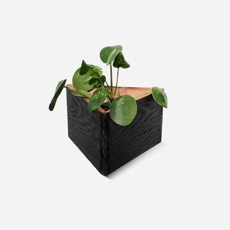 TRIANGLE SELF-WATERING, WALL-MOUNTED PLANTER | BY FORMR