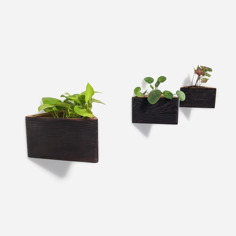 TRIANGLE SELF-WATERING, WALL-MOUNTED PLANTER | BY FORMR