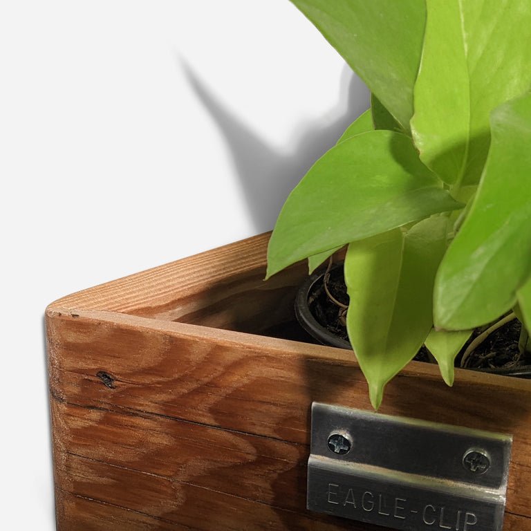 TRIANGLE SELF-WATERING, WALL-MOUNTED PLANTER | BY FORMR