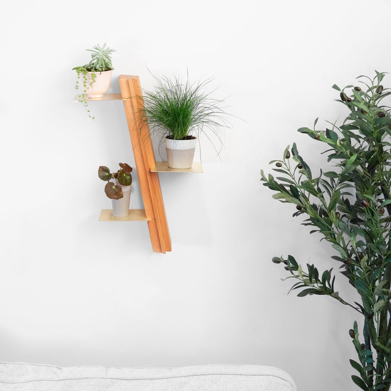 WALLFLOWER PLANT SHELF | BY FORMR