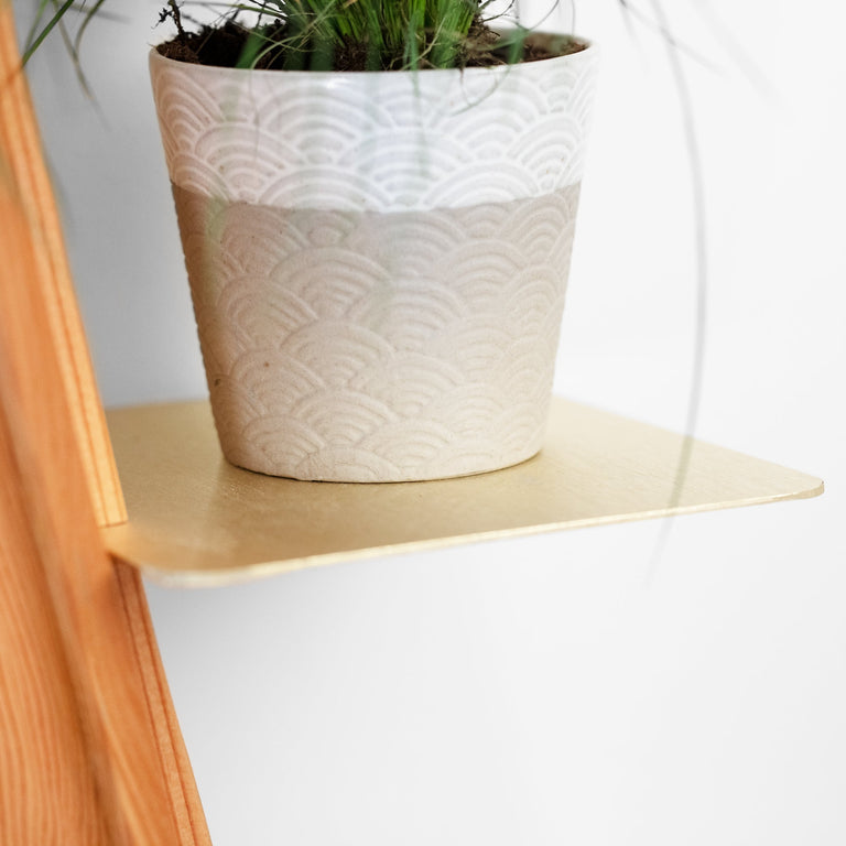 WALLFLOWER PLANT SHELF | BY FORMR