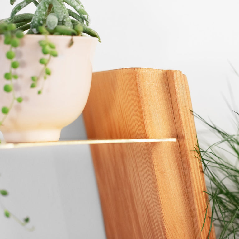 WALLFLOWER PLANT SHELF | BY FORMR