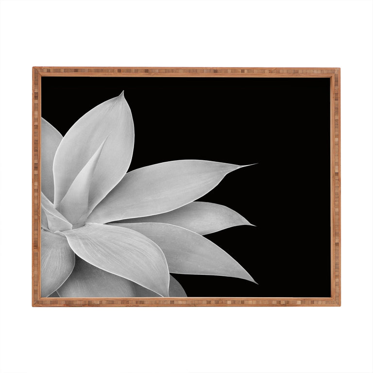 AGAVE FINESSE 2 TROPICAL DECOR RECTANGULAR TRAY