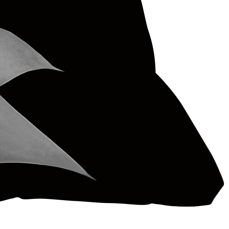 AGAVE FINESSE 2 TROPICAL DECOR THROW PILLOW