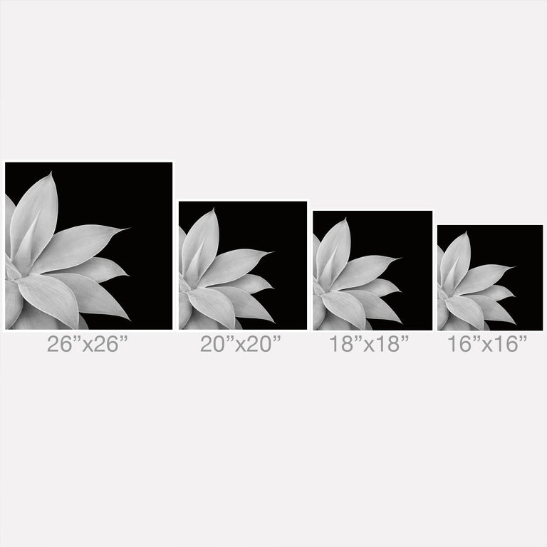 AGAVE FINESSE 2 TROPICAL DECOR THROW PILLOW