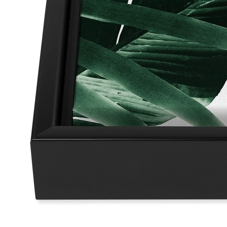 Tropical Jungle Leaves 4 Art Canvas